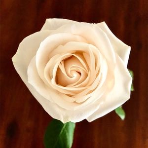 Meet your Posher, My